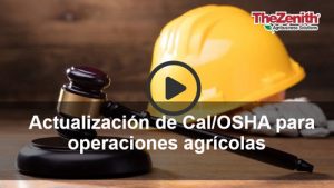 Click to view and listen to the Spanish webinar